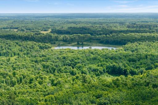 Hackensack, MN 56452