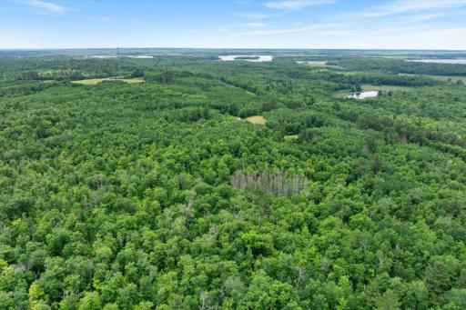 Hackensack, MN 56452