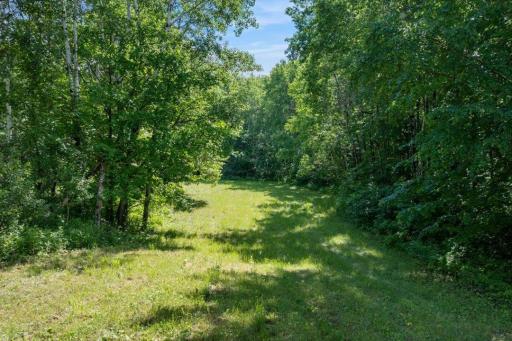 Hackensack, MN 56452
