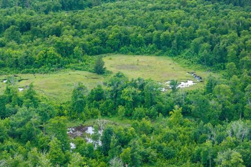 Hackensack, MN 56452