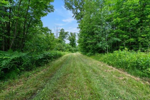 Hackensack, MN 56452