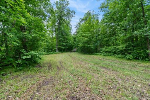 Hackensack, MN 56452