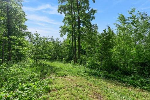 Hackensack, MN 56452