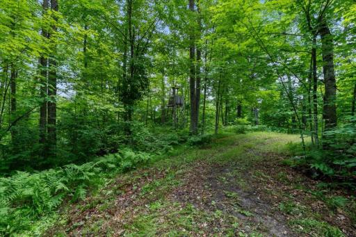 Hackensack, MN 56452