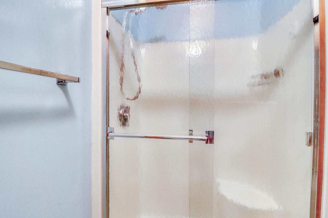 Primary Bathroom shower