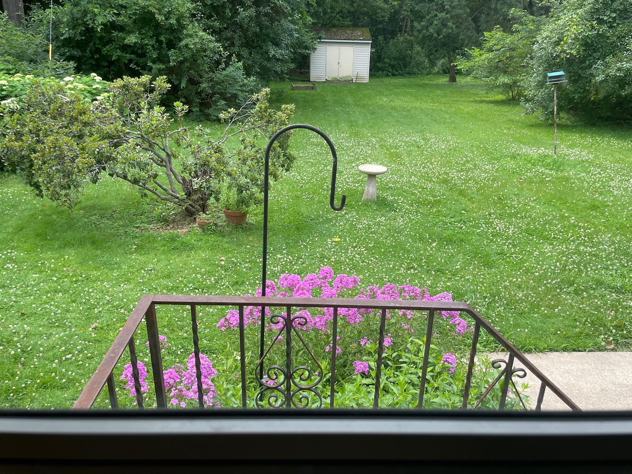 View out back door.