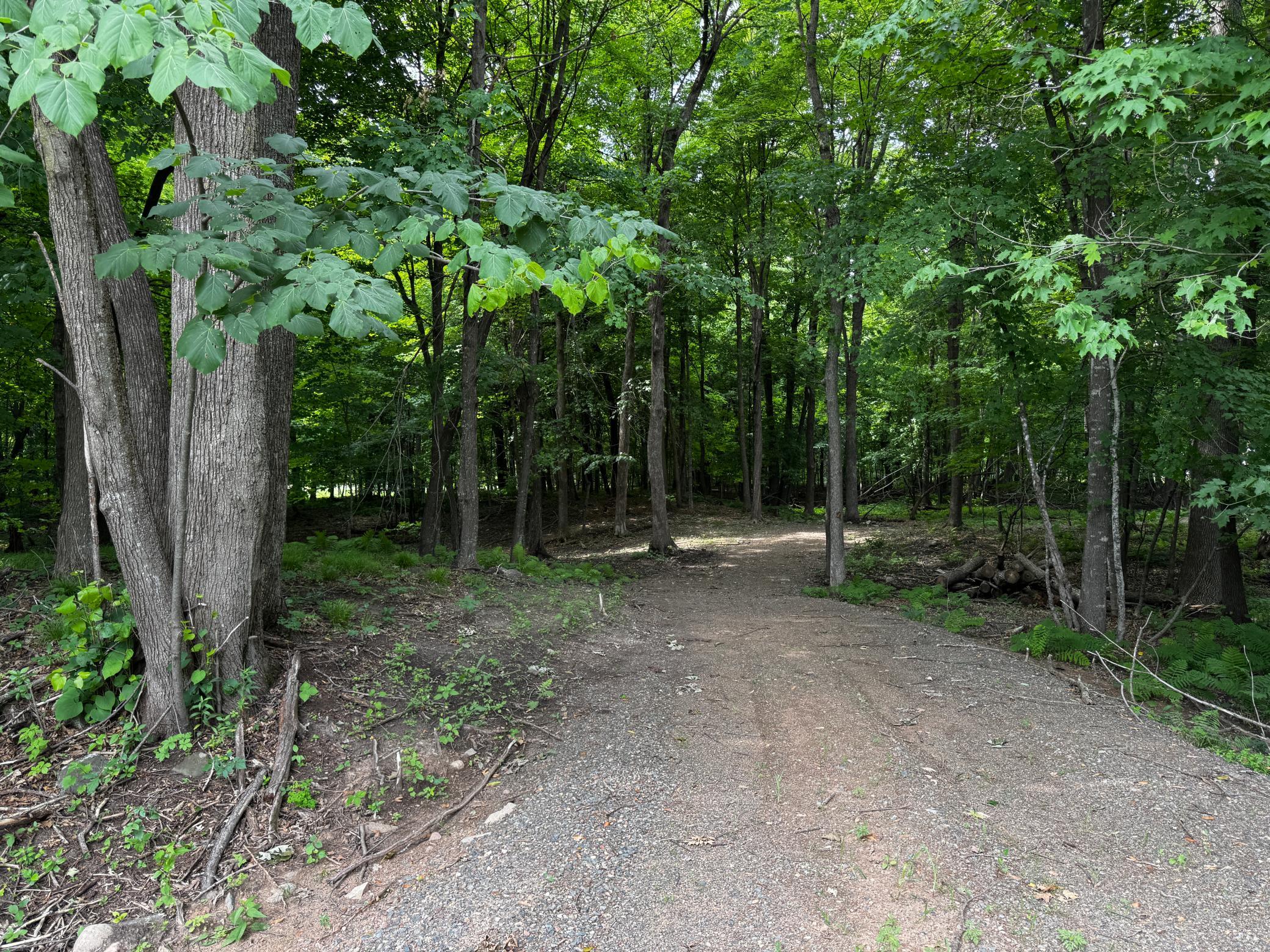 .8 acre vacant land lot