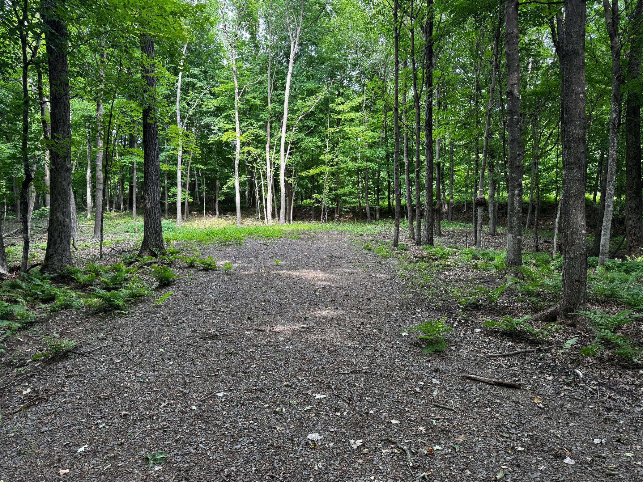Cleared area for building