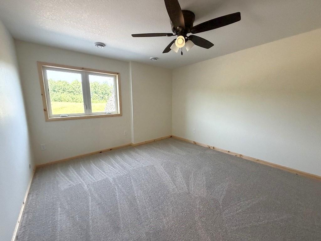 Lower level 3rd bedroom.