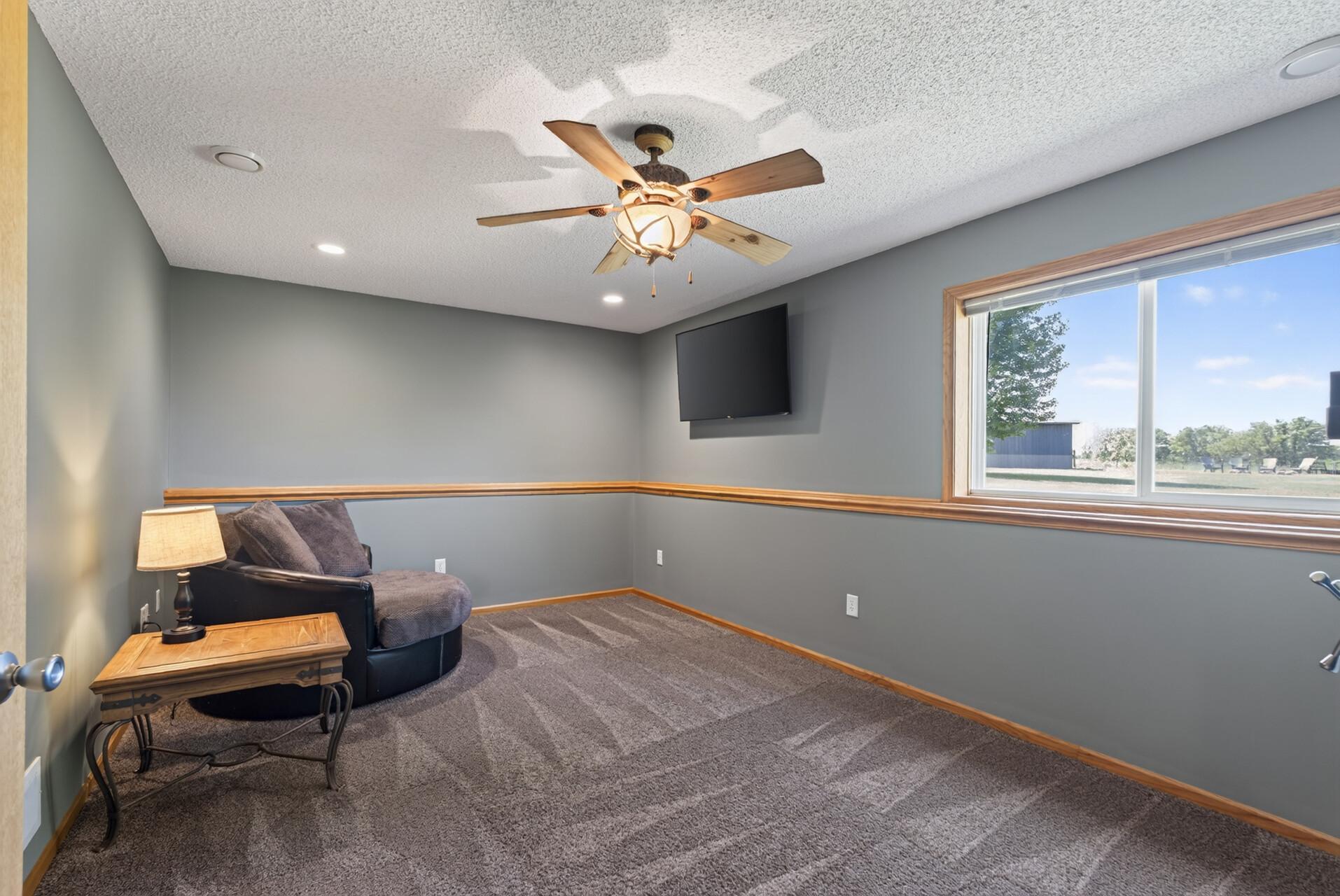 Lower level family room