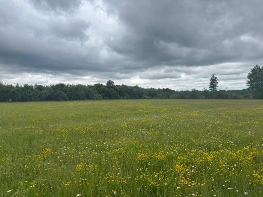 TBD Townline Road, Forbes, MN 55738