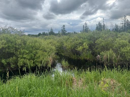 TBD Townline Road, Forbes, MN 55738