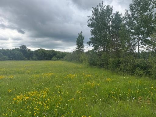 TBD Townline Road, Forbes, MN 55738
