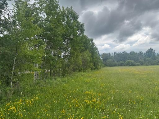 TBD Townline Road, Forbes, MN 55738