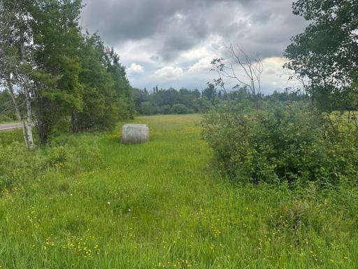 TBD Townline Road, Forbes, MN 55738
