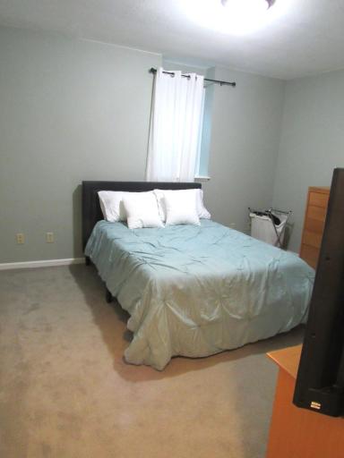 The lower level bedroom has an egress window, newer carpet, ceiling light and deep double closet.