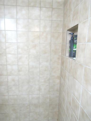 The lower level bathroom has a tiled shower with a built-in shower caddy.