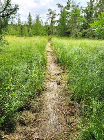 6565 Lynch Bridge Road, Siren, WI 54872