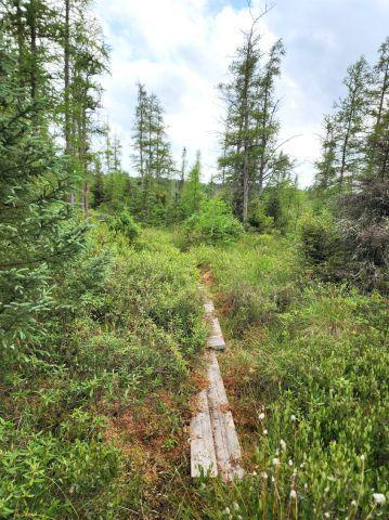 6565 Lynch Bridge Road, Siren, WI 54872