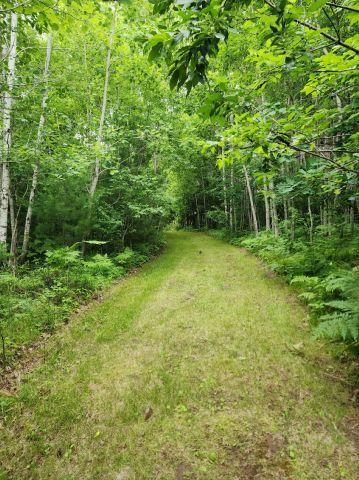 6565 Lynch Bridge Road, Siren, WI 54872
