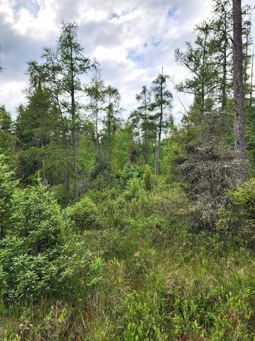 6565 Lynch Bridge Road, Siren, WI 54872
