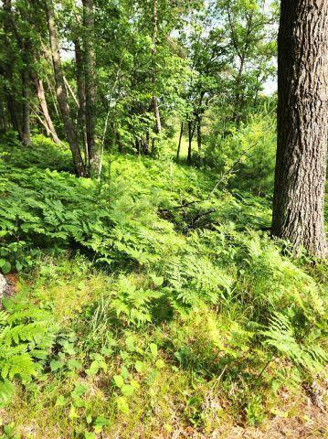 6565 Lynch Bridge Road, Siren, WI 54872