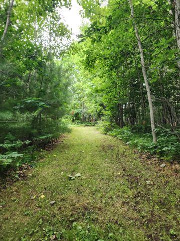 6565 Lynch Bridge Road, Siren, WI 54872