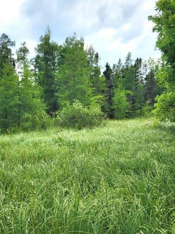 6565 Lynch Bridge Road, Siren, WI 54872