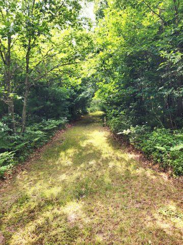 6565 Lynch Bridge Road, Siren, WI 54872