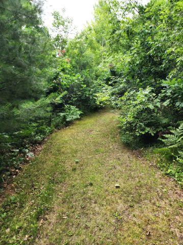 6565 Lynch Bridge Road, Siren, WI 54872
