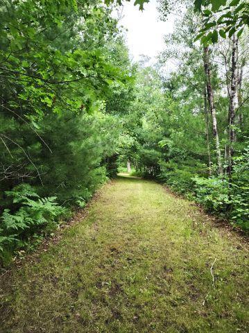 6565 Lynch Bridge Road, Siren, WI 54872