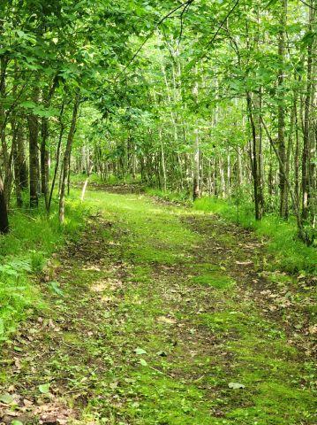 6565 Lynch Bridge Road, Siren, WI 54872