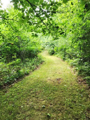 6565 Lynch Bridge Road, Siren, WI 54872