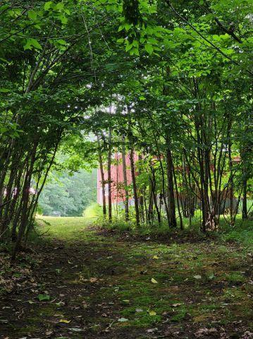 6565 Lynch Bridge Road, Siren, WI 54872