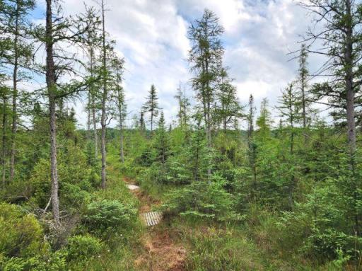 6565 Lynch Bridge Road, Siren, WI 54872