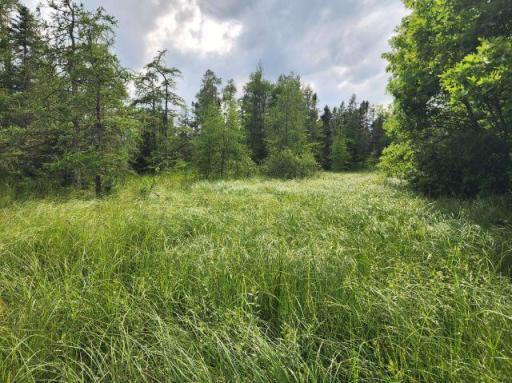 6565 Lynch Bridge Road, Siren, WI 54872