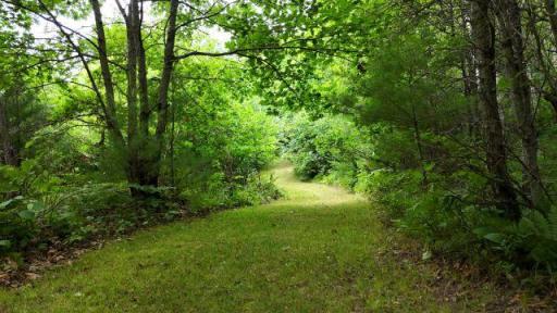 6565 Lynch Bridge Road, Siren, WI 54872