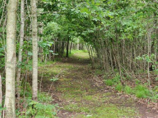 6565 Lynch Bridge Road, Siren, WI 54872