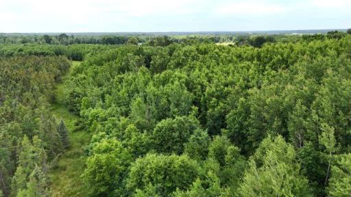6565 Lynch Bridge Road, Siren, WI 54872