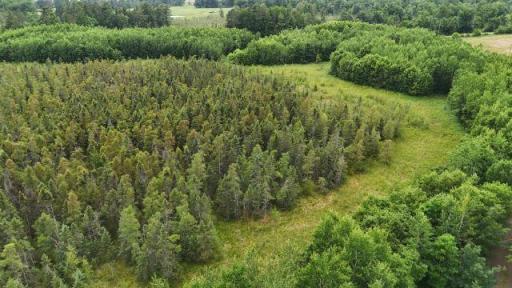 6565 Lynch Bridge Road, Siren, WI 54872
