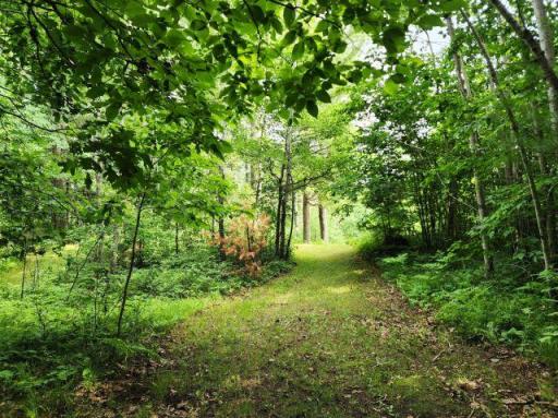 6565 Lynch Bridge Road, Siren, WI 54872