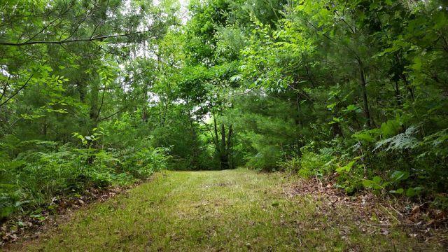 6565 Lynch Brudge Rd, Siren - ZW.JPG