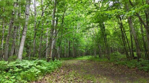 6565 Lynch Bridge Road, Siren, WI 54872