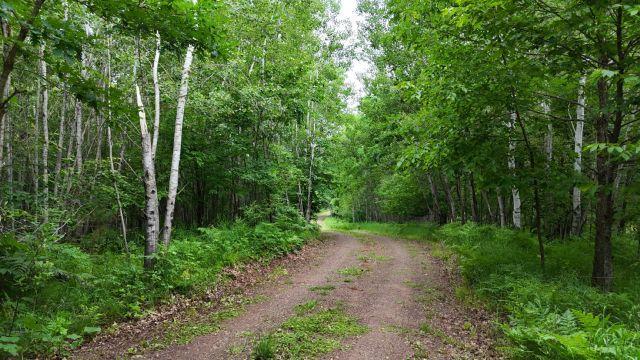 6565 Lynch Brudge Rd, Siren - ZZN.JPG
