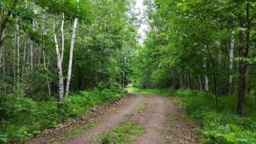 6565 Lynch Bridge Road, Siren, WI 54872