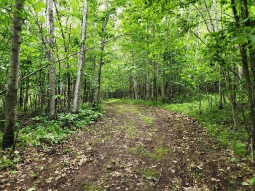 6565 Lynch Bridge Road, Siren, WI 54872
