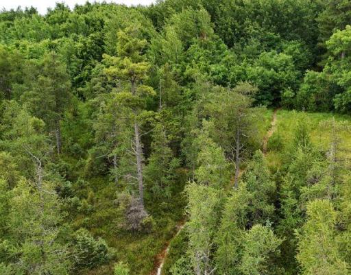 6565 Lynch Bridge Road, Siren, WI 54872