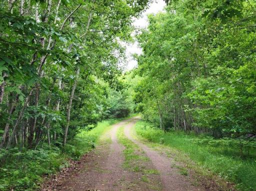 6565 Lynch Bridge Road, Siren, WI 54872