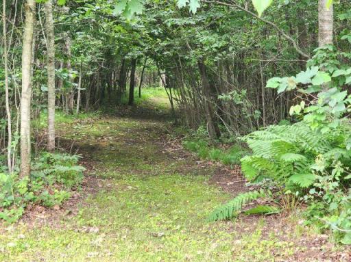 6565 Lynch Bridge Road, Siren, WI 54872