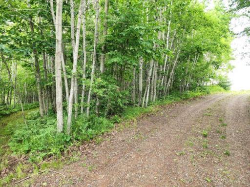 6565 Lynch Bridge Road, Siren, WI 54872